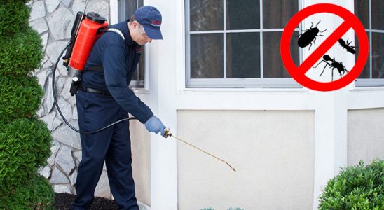 Nurdağı Akrep İlaçlama böcek ilaçlama ve haşere kontrolü — ilaclama-tr.com